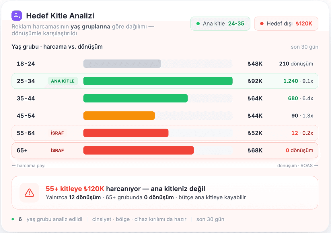 Hedef kitle analizi ekranı